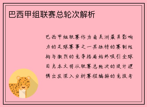 巴西甲组联赛总轮次解析