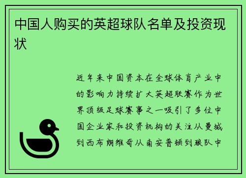 中国人购买的英超球队名单及投资现状