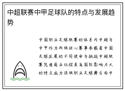 中超联赛中甲足球队的特点与发展趋势
