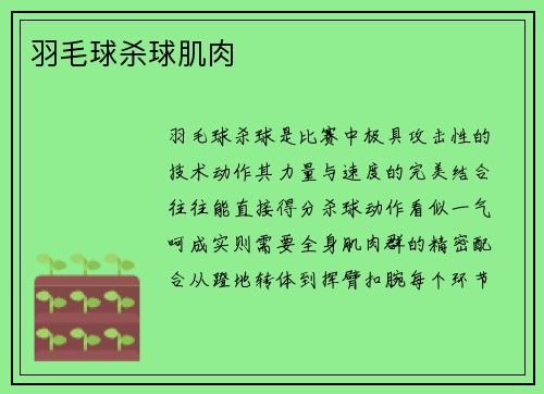 羽毛球杀球肌肉
